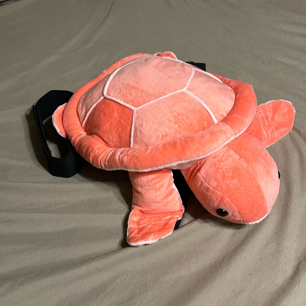 snowboarding turtle